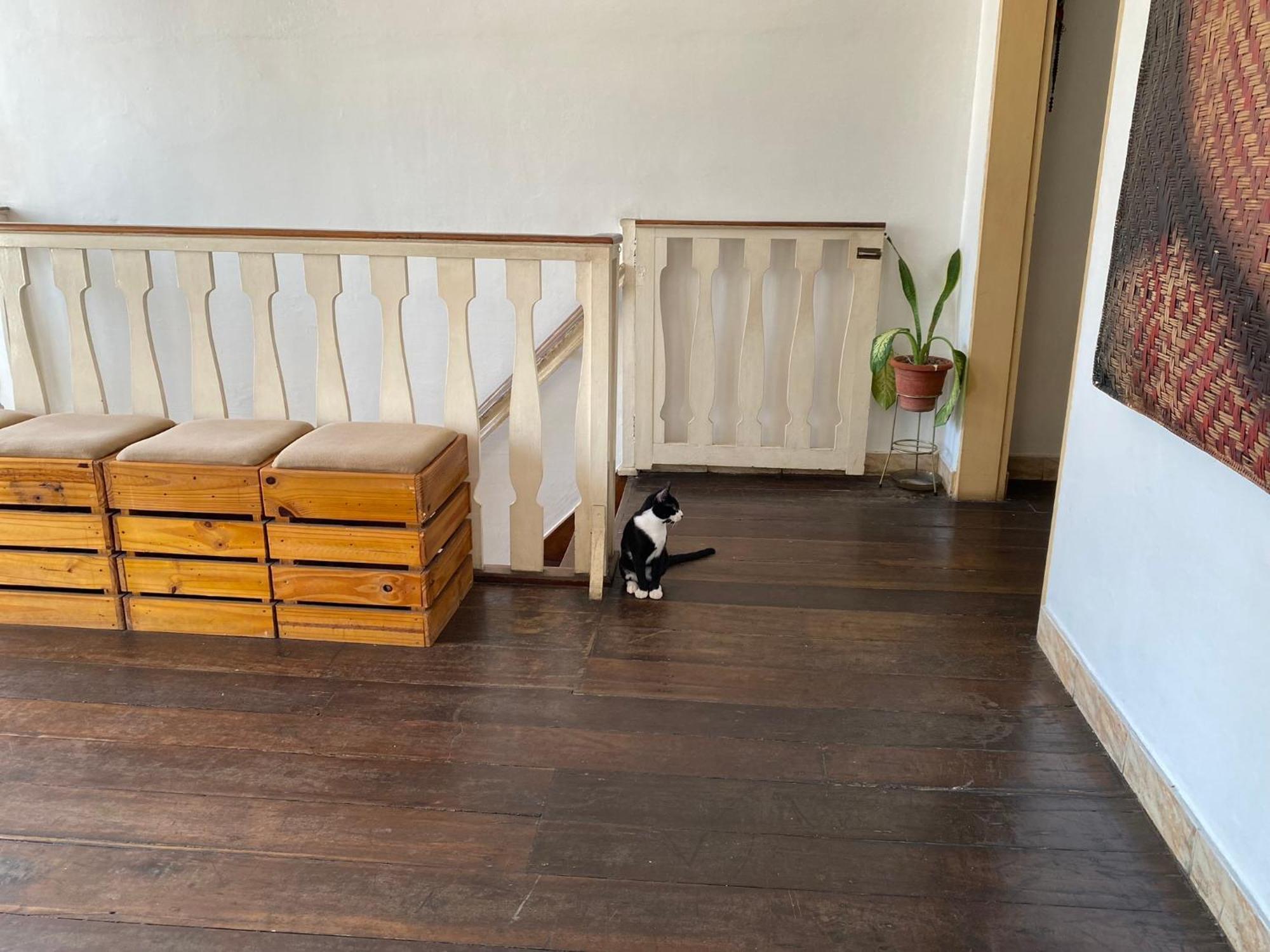Aldeia Hostel Манаус Екстериор снимка