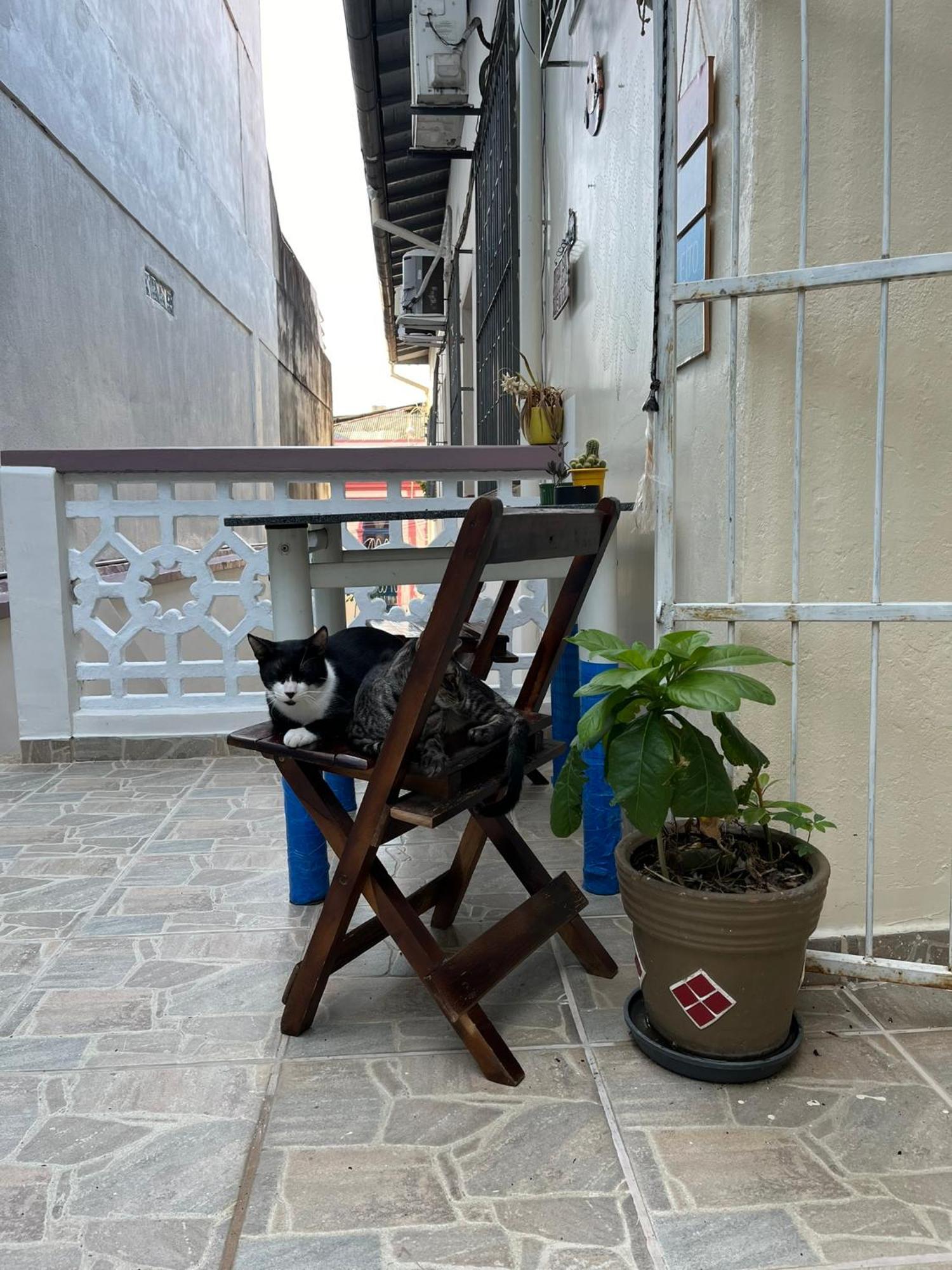 Aldeia Hostel Манаус Екстериор снимка